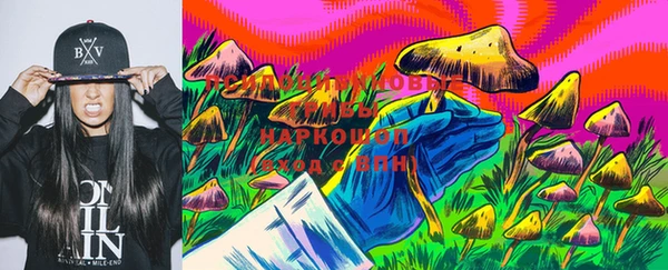 метадон Горняк