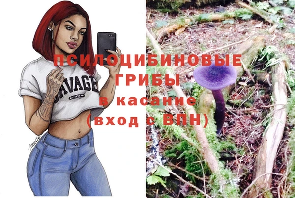 метадон Горняк