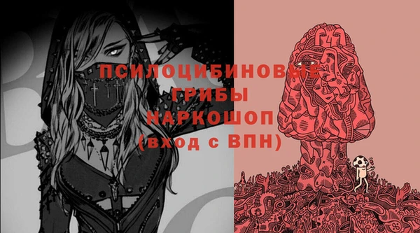 метадон Горняк
