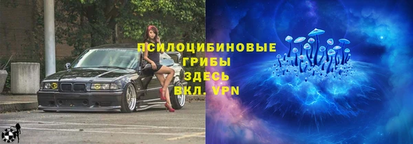 a pvp Горнозаводск
